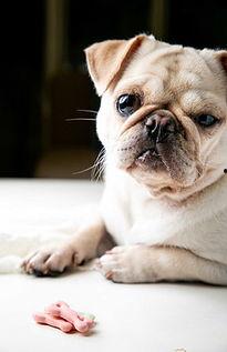 策划巴哥最新爆料,揭秘策划界的神秘力量 第1张 策划巴哥最新爆料,揭秘策划界的神秘力量 第1张