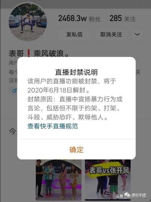 爆料辛巴带货视频下载,揭秘直播带货背后的秘密  第3张