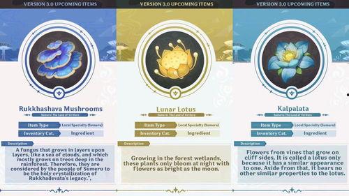 草神爆料官方视频大全集,揭秘神秘力量与奇幻冒险之旅  第3张