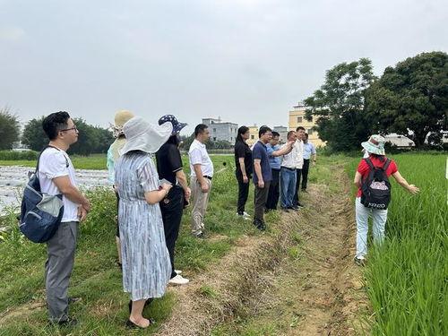 封开南丰镇新闻爆料,聚焦民生热点，共话发展新篇  第3张