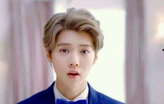 娱乐圈圈爆料鹿晗,揭秘背后故事与精彩瞬间  第3张